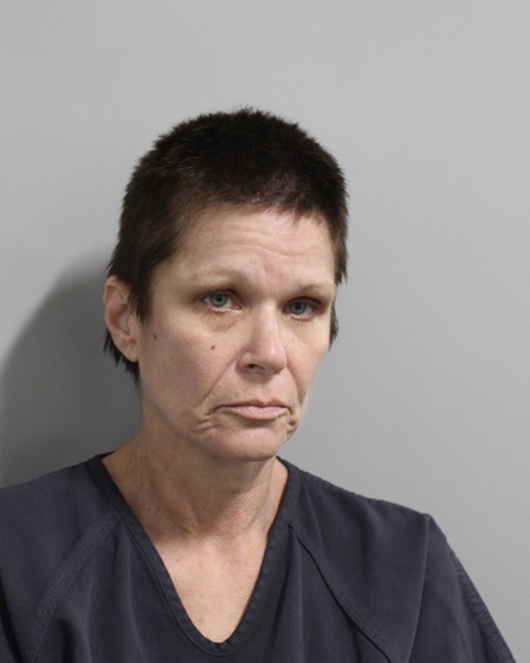 Booking photo of Andrea Mabe