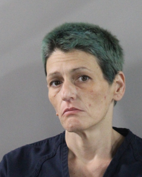 Booking photo of Vanessa Day