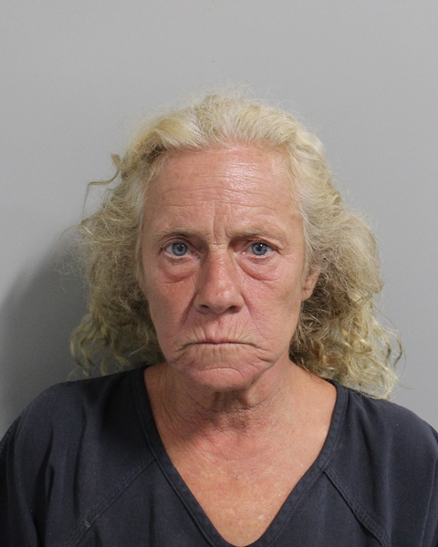 Booking photo of Jennifer Mosillo