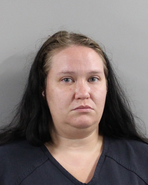 Booking photo of Brittany Hanes