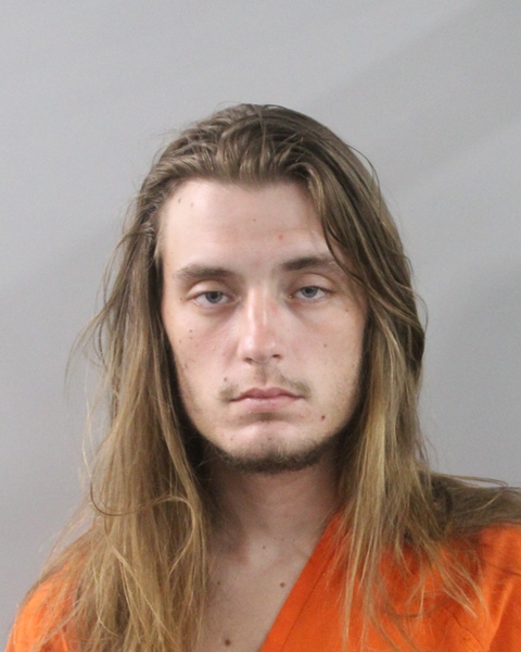 Booking photo of Sage Lidik