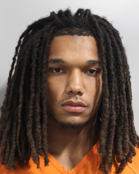 Booking photo of Guiseann Mirtil