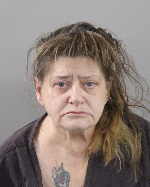 Booking photo of Debra Dorfman