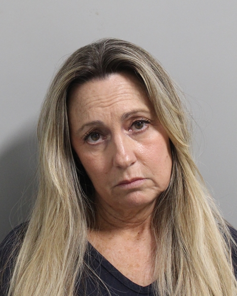 Booking photo of Julia Mcgriff