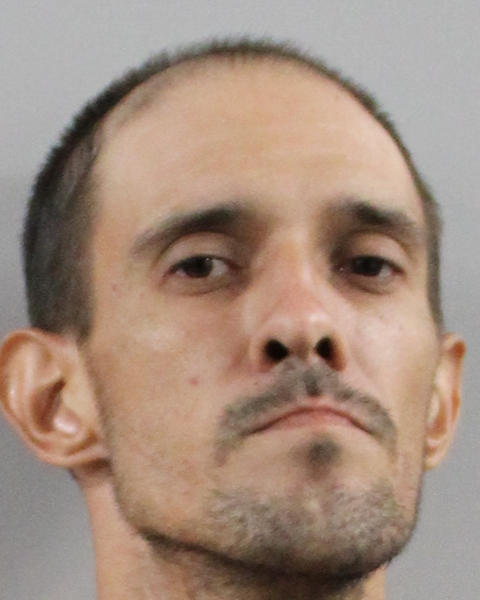 Booking photo of Michael Minot