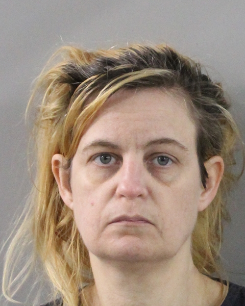 Sarah Pitts booking photo