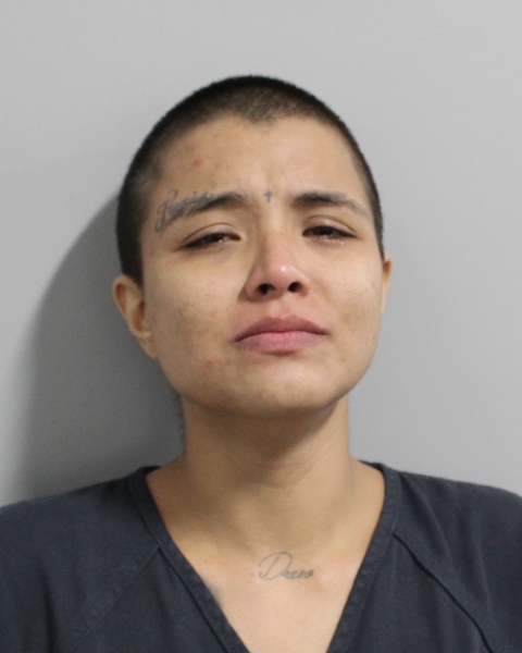 Booking photo of Noemi Cabrera