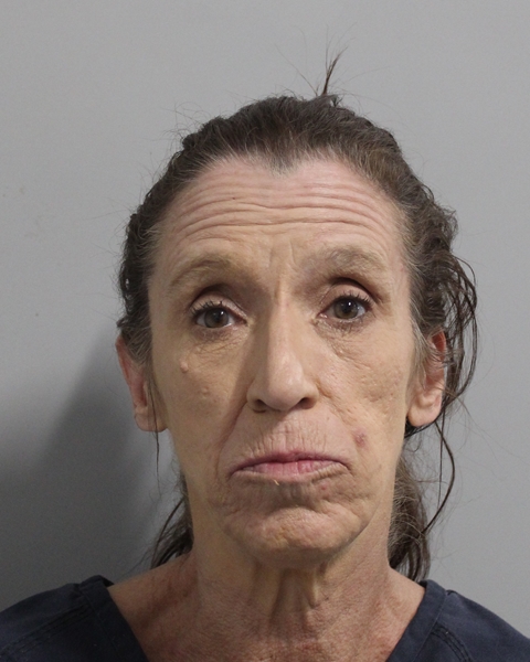Booking photo of Janet Dees