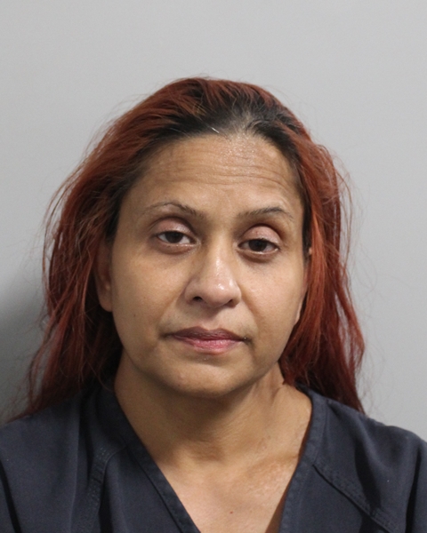 Booking photo of Annisha Velez