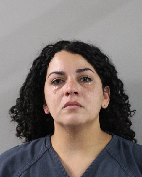 Ariamaliz Souffront booking photo