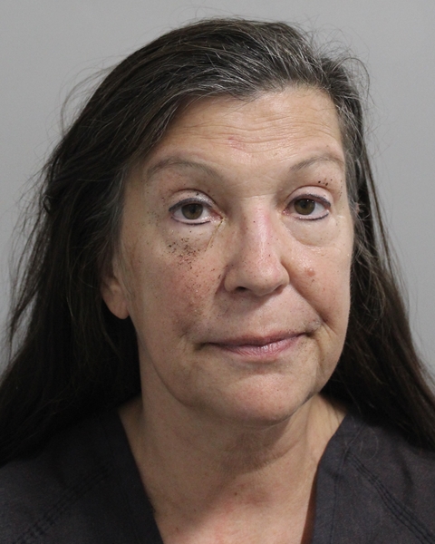 Booking photo of Pamela Foster