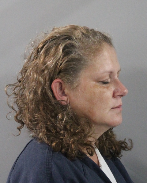 Booking photo of Tanya Lisk