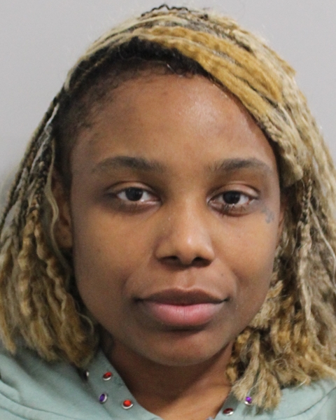 Booking photo of Lindsey Stanley
