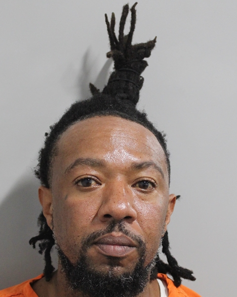 Ladarrien Wilson booking photo