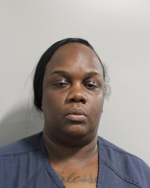 Booking photo of Kendra Ragins