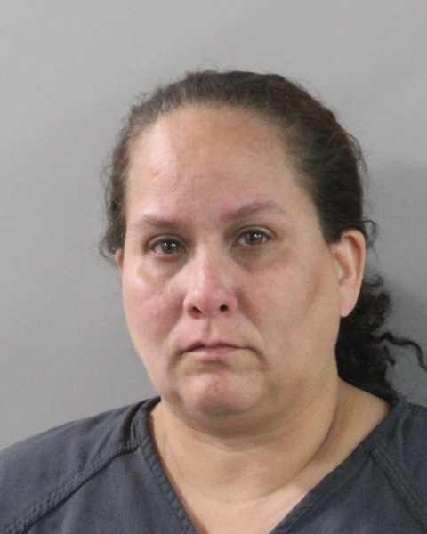 Booking photo of Carmen Arzola