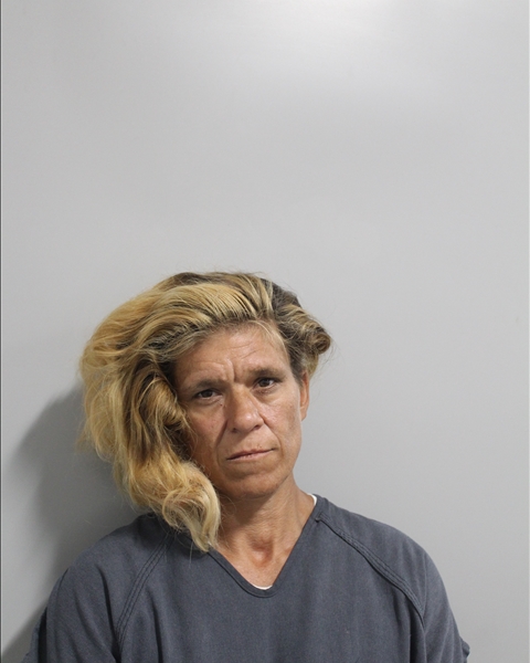 Booking photo of Brandy Thompson