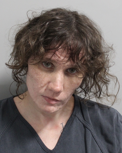 Booking photo of Samantha Haney
