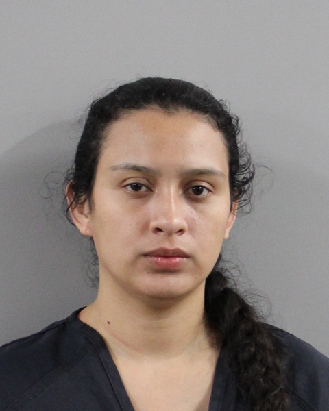 Andrea Velez Diana booking photo