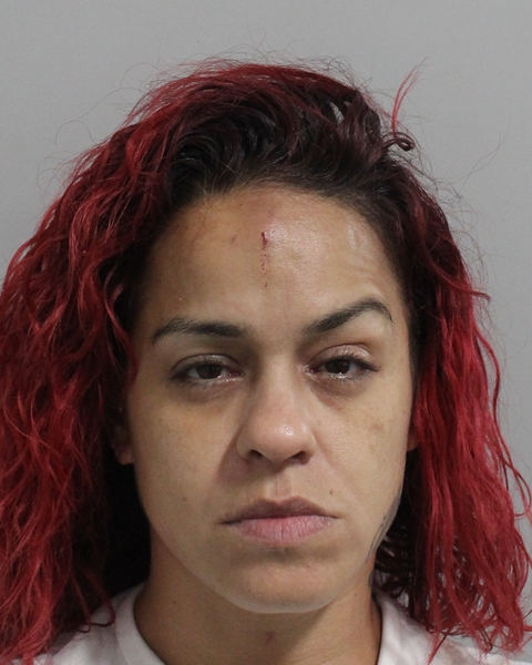 Booking photo of Coraly Mercado-rivera