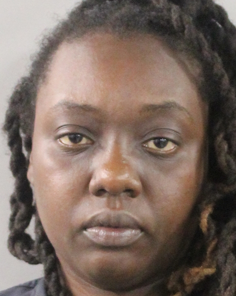 Booking photo of Hermine Mondesir