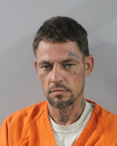 Booking photo of Stewart King