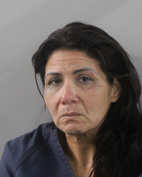 Booking photo of Francelis Padilla Ramirez