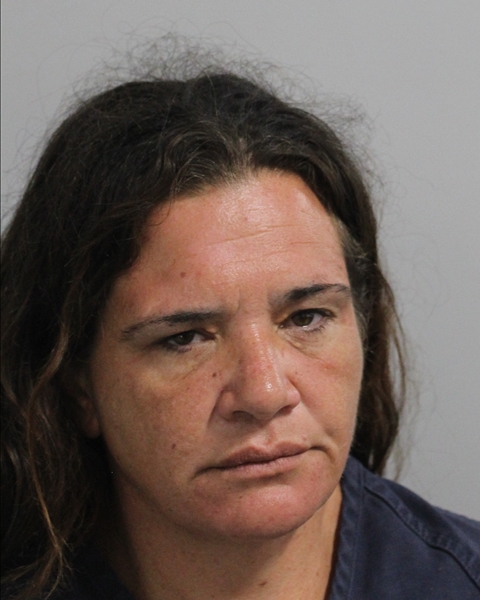 Booking photo of Lisa Gaskins