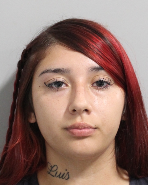 Booking photo of Crystal Chavez