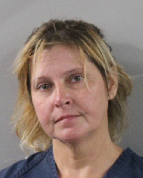 Booking photo of Christina Bronchik