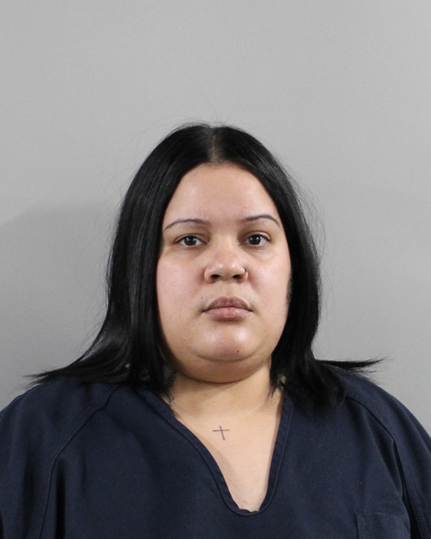 Booking photo of Biangis Rodriguez