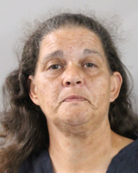 Booking photo of Suzanne Phillips