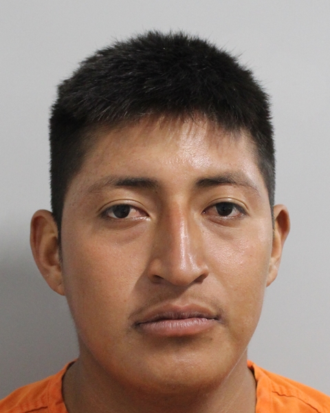 Booking photo of Edgar Apolina-villada