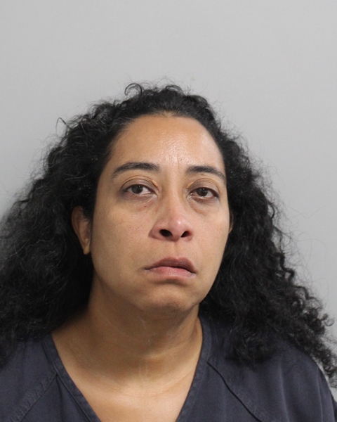 Booking photo of Katherine Llanos Sostre