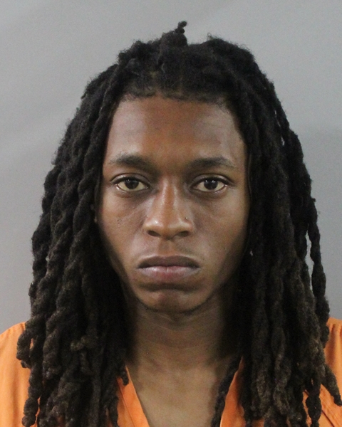 Booking photo of Michael Faison