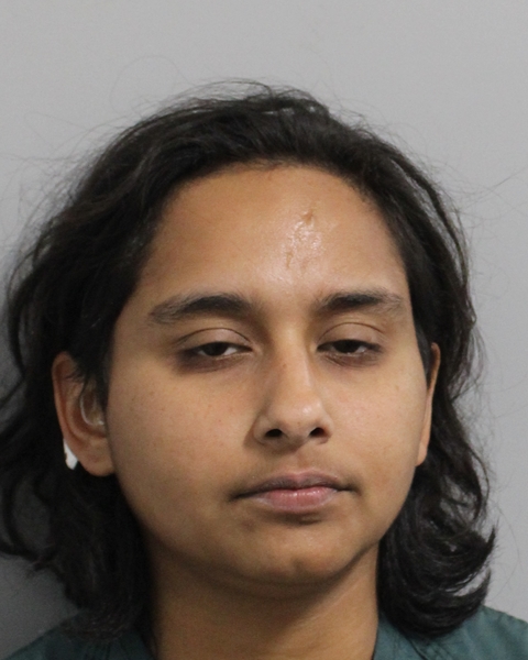 Booking photo of Krystal Rivera