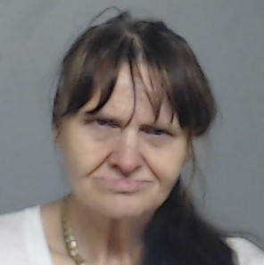 Booking photo of Lisa Salinas