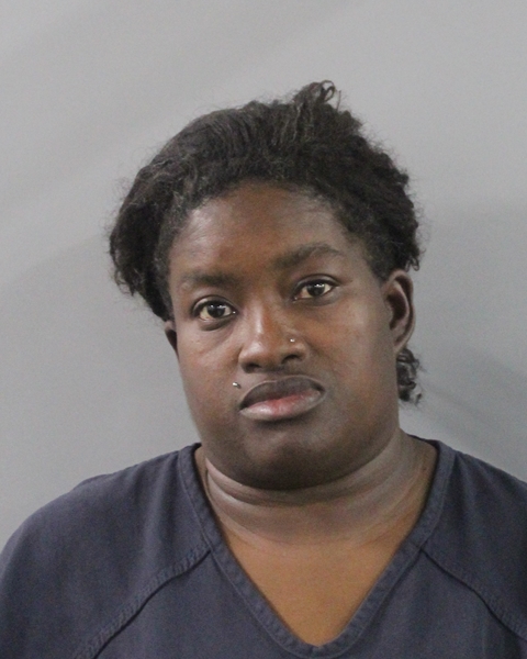 Latasha Andrew-johnson booking photo