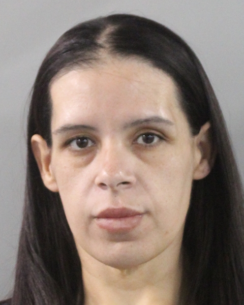 Booking photo of Andrea Fernandez