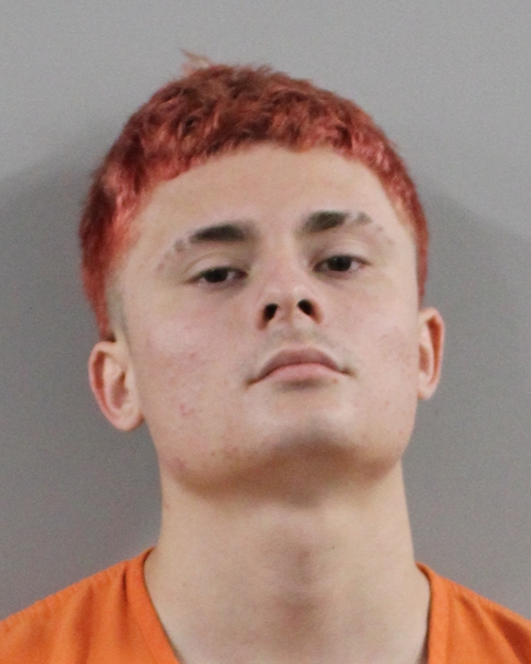 Booking photo of Aiden Roman