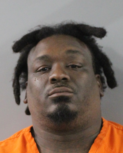 Booking photo of Dominique Young