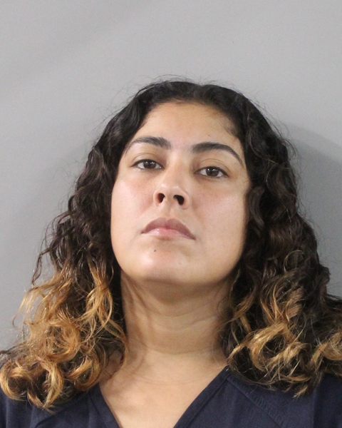 Booking photo of Cheri Martinez