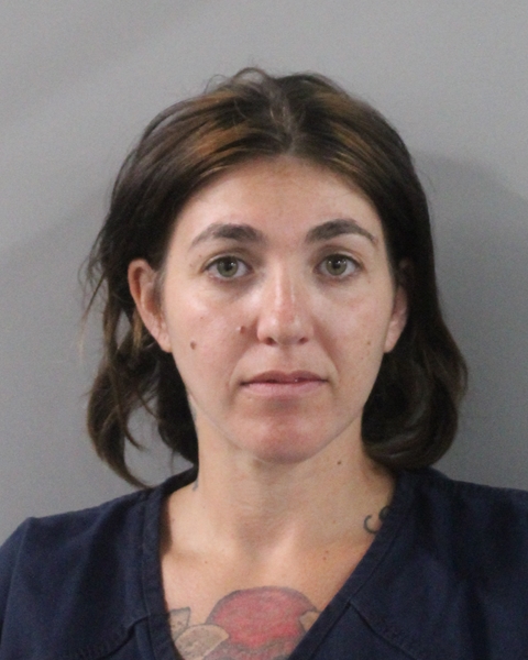 Booking photo of Ashley Edison