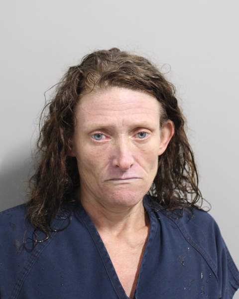 Booking photo of Bobbie Bost