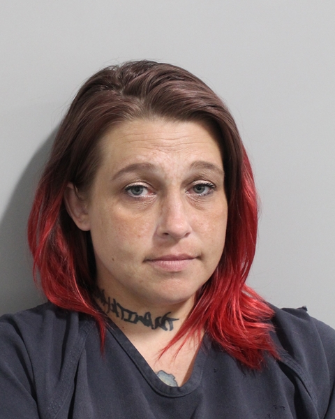 Booking photo of Jonna Smith