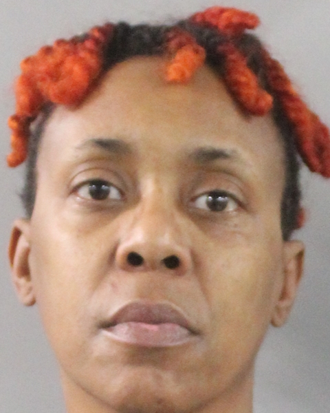 Booking photo of Bridgette Reynolds