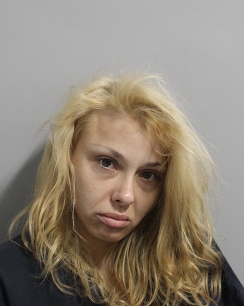 Booking photo of Hanna Bradley