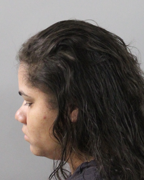 Booking photo of Kimberly Laboy Castro