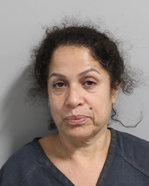 Booking photo of Enedina Perez