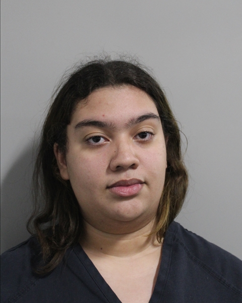 Sierra Armstead booking photo